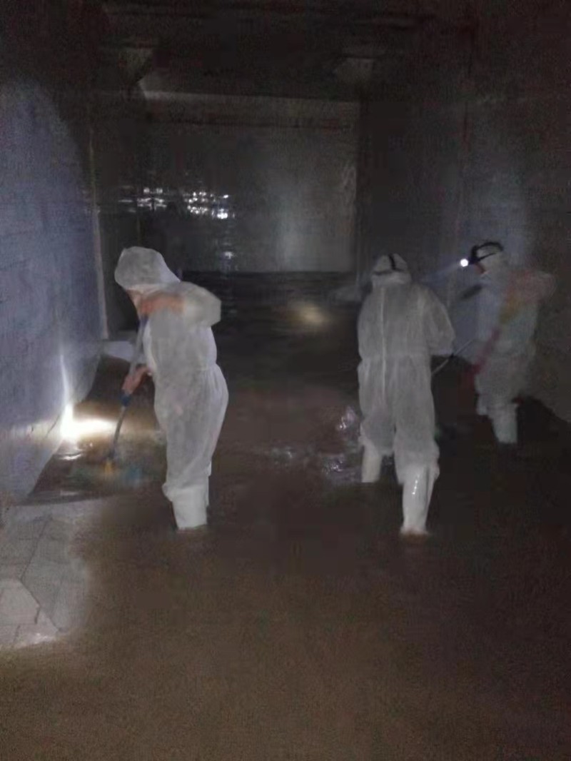 青白江清洗水池 清洗生活水箱公司 服务热情 细心谨慎