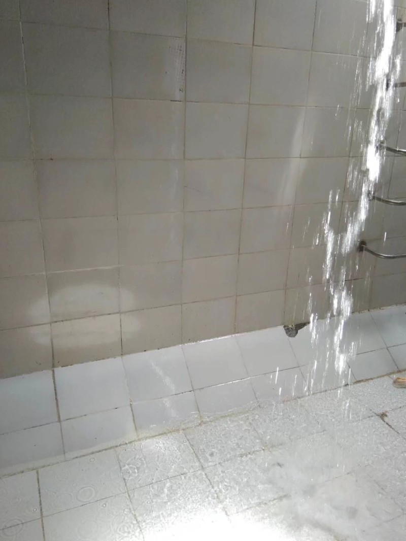 青白江清洗水池 清洗生活水箱公司 服务热情 细心谨慎