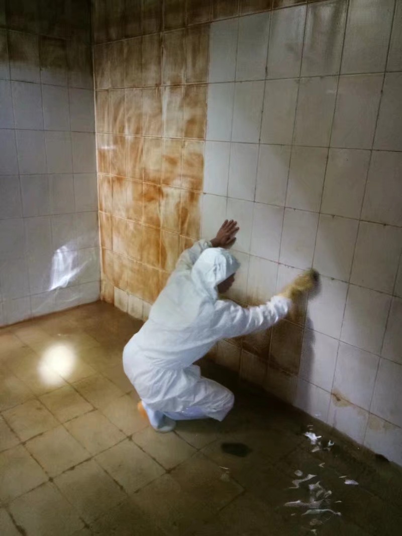 青白江清洗水池 清洗生活水箱公司 服务热情 细心谨慎